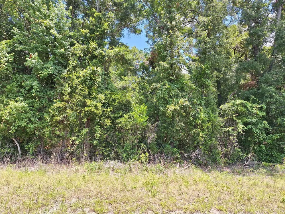 TBD HWY 19 Chiefland, FL 32626