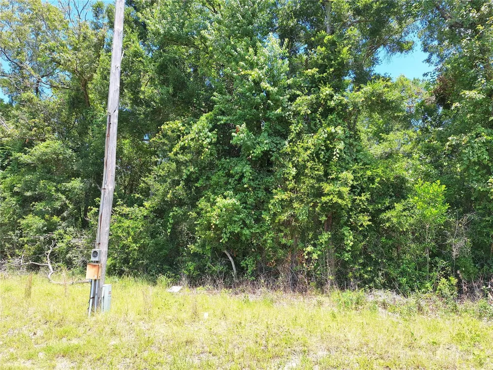 TBD HWY 19 Chiefland, FL 32626