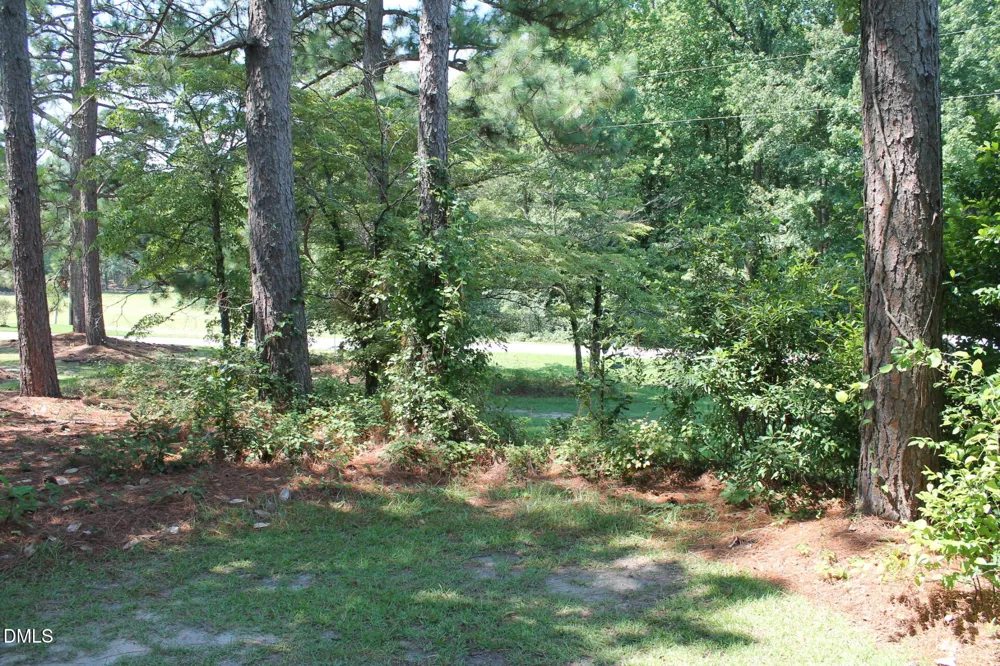 0 Lakeside Drive Lillington, NC 27546