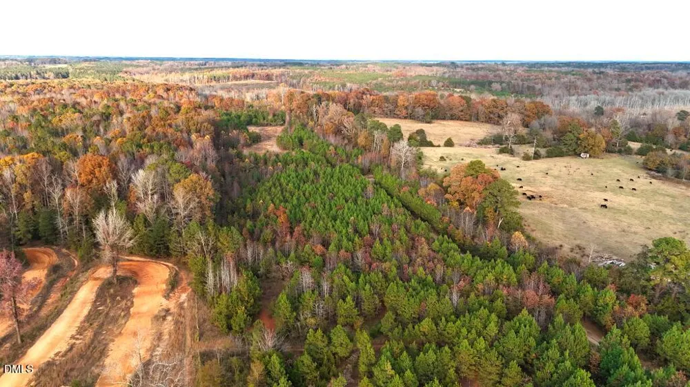 Lot 1 Cheeks Quarter Road Henderson, NC 27537