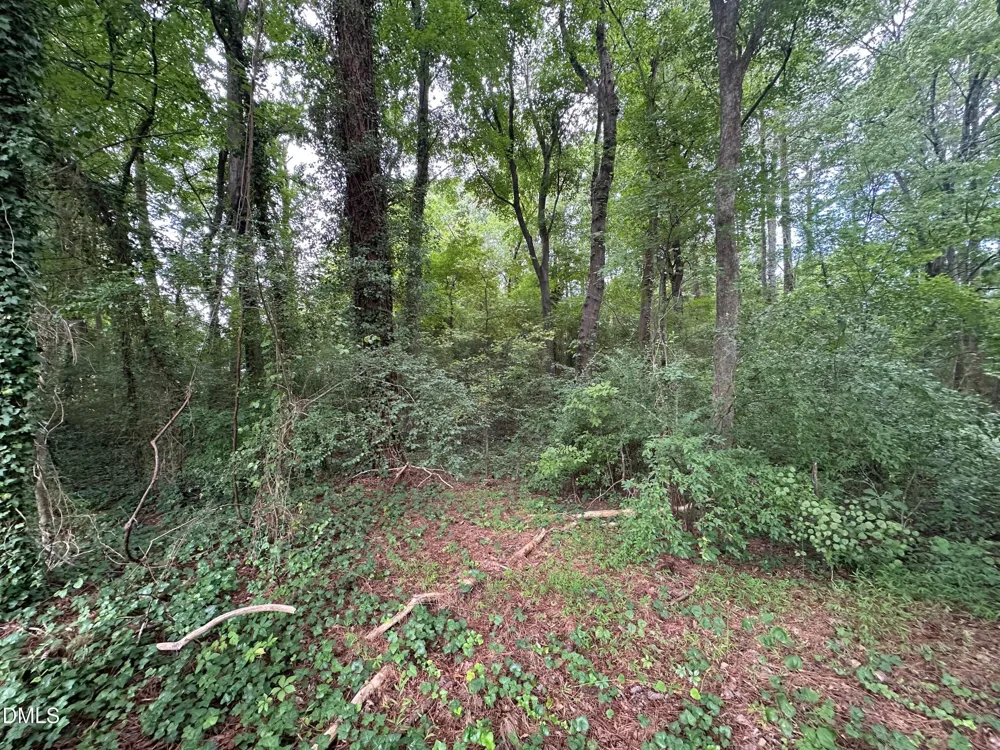 0 Lakeside Trail Raleigh, NC 27603