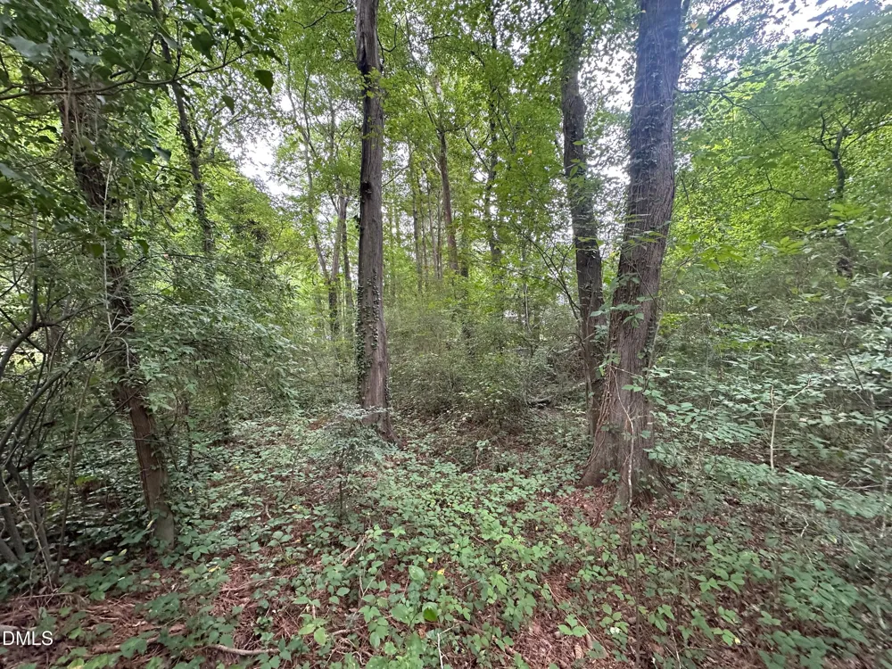 0 Lakeside Trail Raleigh, NC 27603