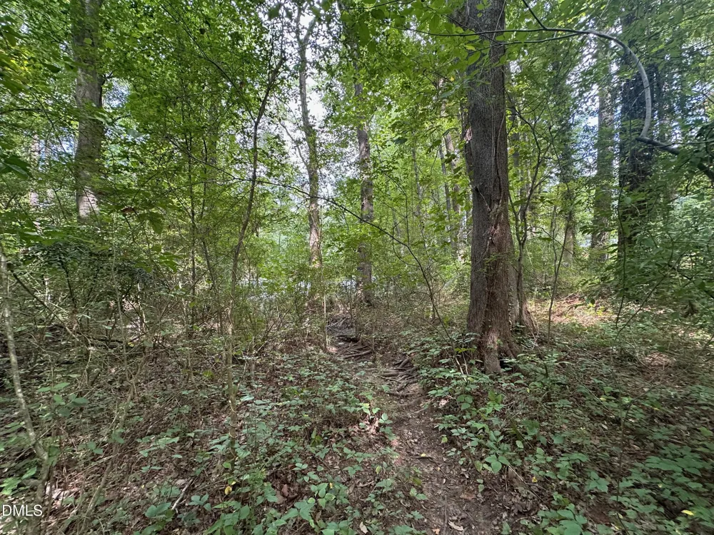 0 Lakeside Trail Raleigh, NC 27603