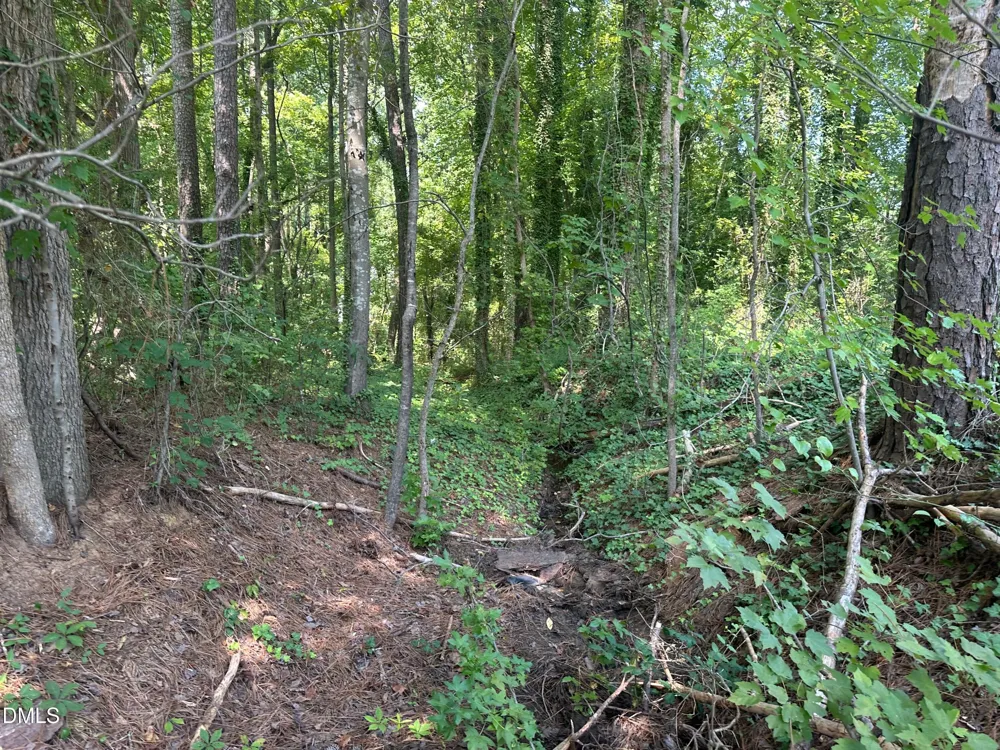 0 Lakeside Trail Raleigh, NC 27603