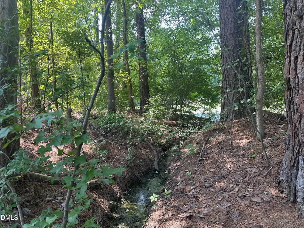 0 Lakeside Trail Raleigh, NC 27603