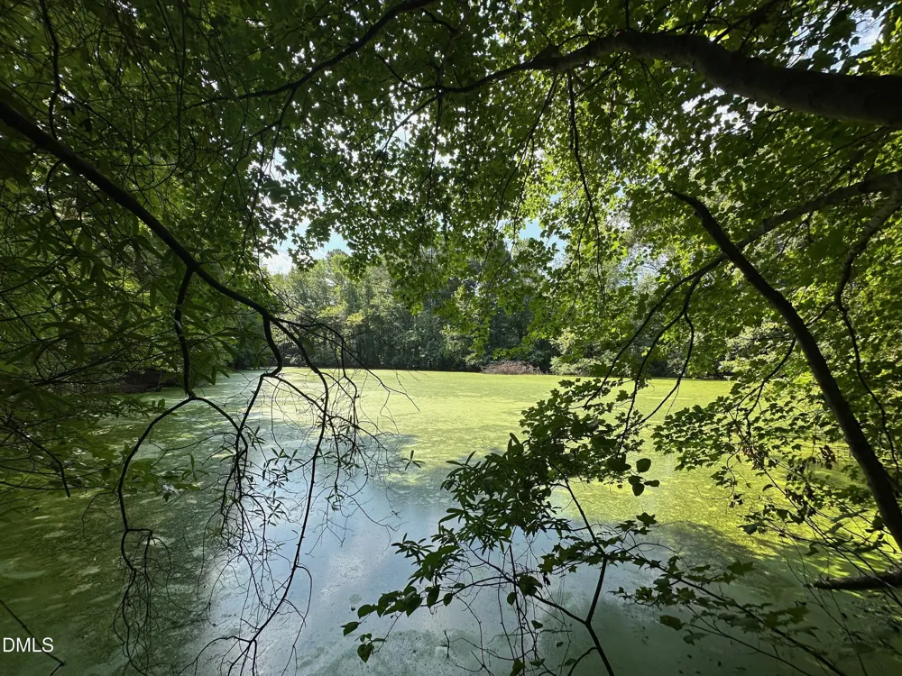 0 Lakeside Trail Raleigh, NC 27603