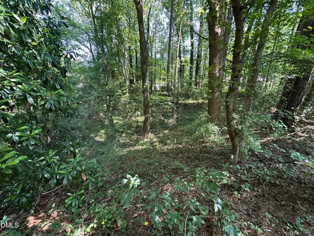 0 Lakeside Trail Raleigh, NC 27603
