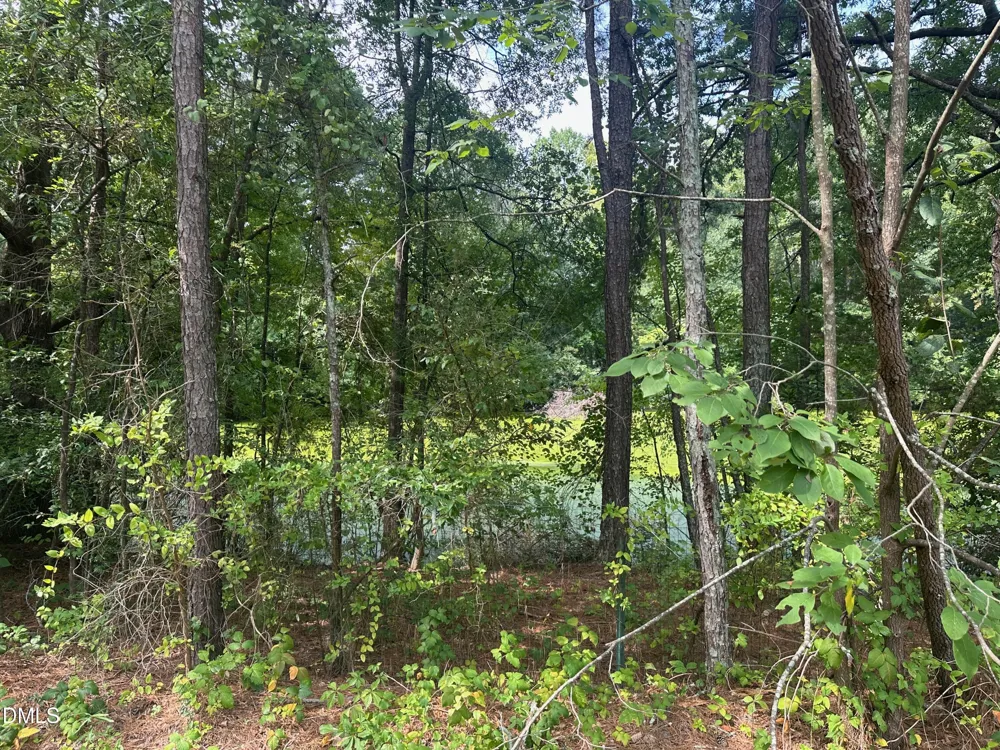 0 Lakeside Trail Raleigh, NC 27603