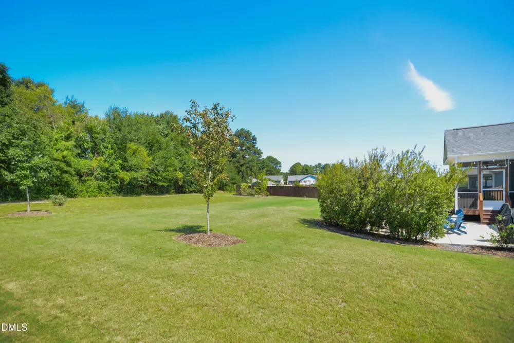 64 Tarheel Landing Drive Benson, NC 27504