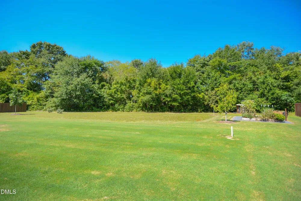 64 Tarheel Landing Drive Benson, NC 27504