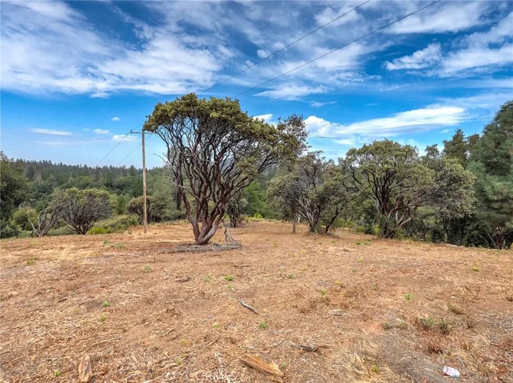 1539001 Vista Lago Mariposa, CA 95338