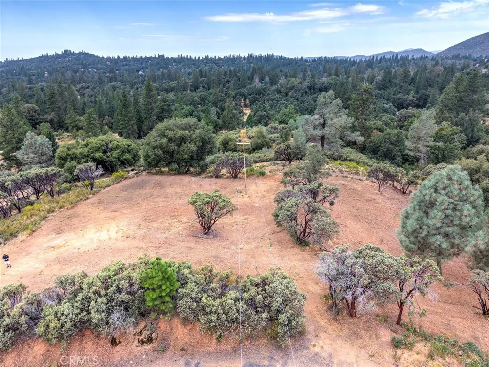 1539001 Vista Lago Mariposa, CA 95338