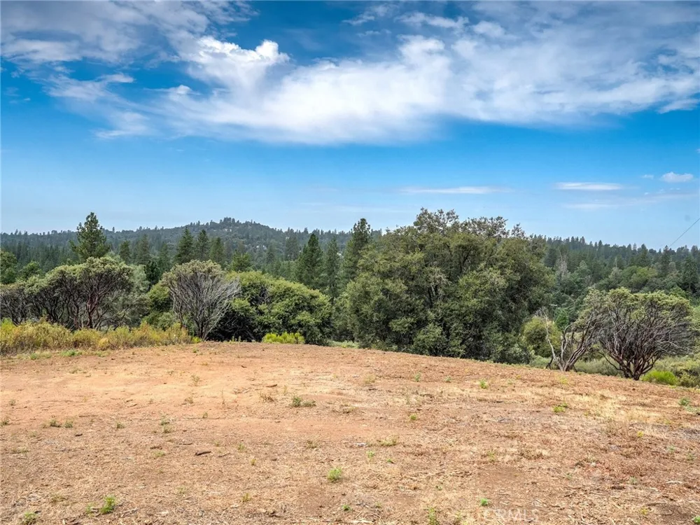 1539001 Vista Lago Mariposa, CA 95338