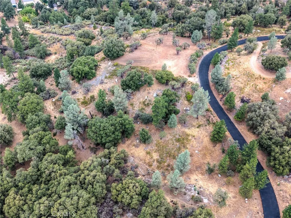 1539001 Vista Lago Mariposa, CA 95338