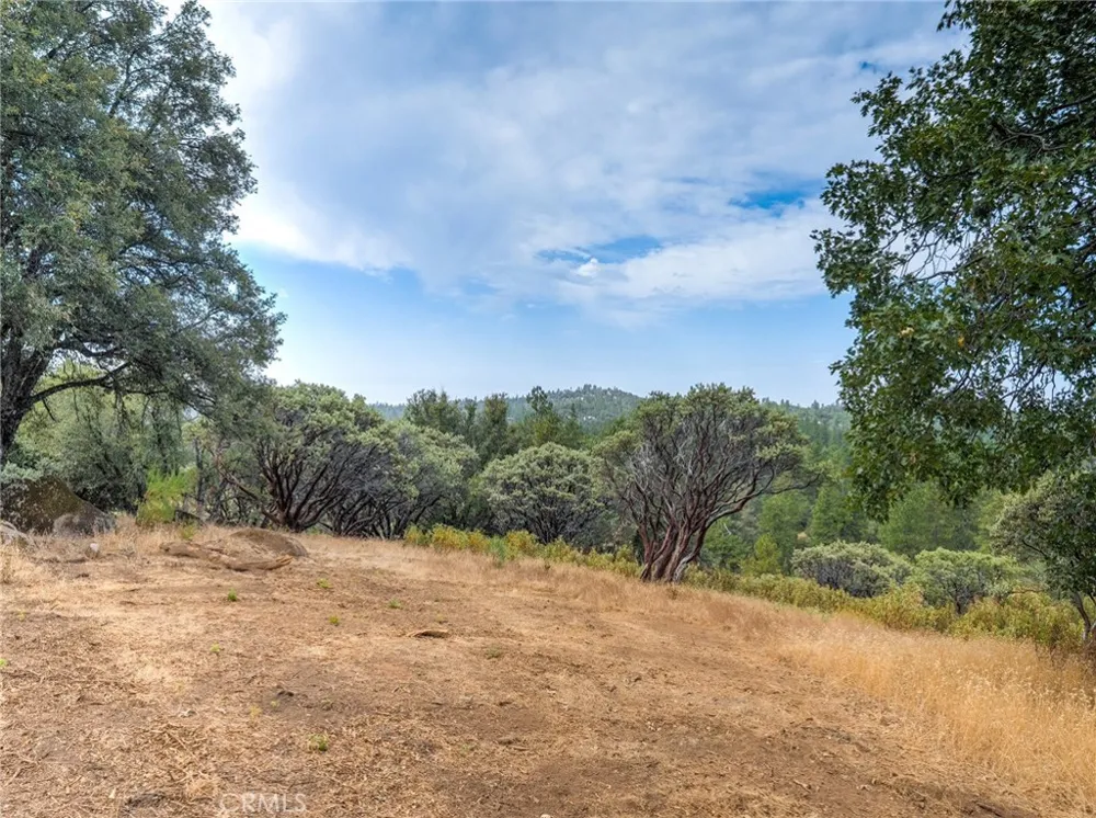 5 Vista Lago Mariposa, CA 95338