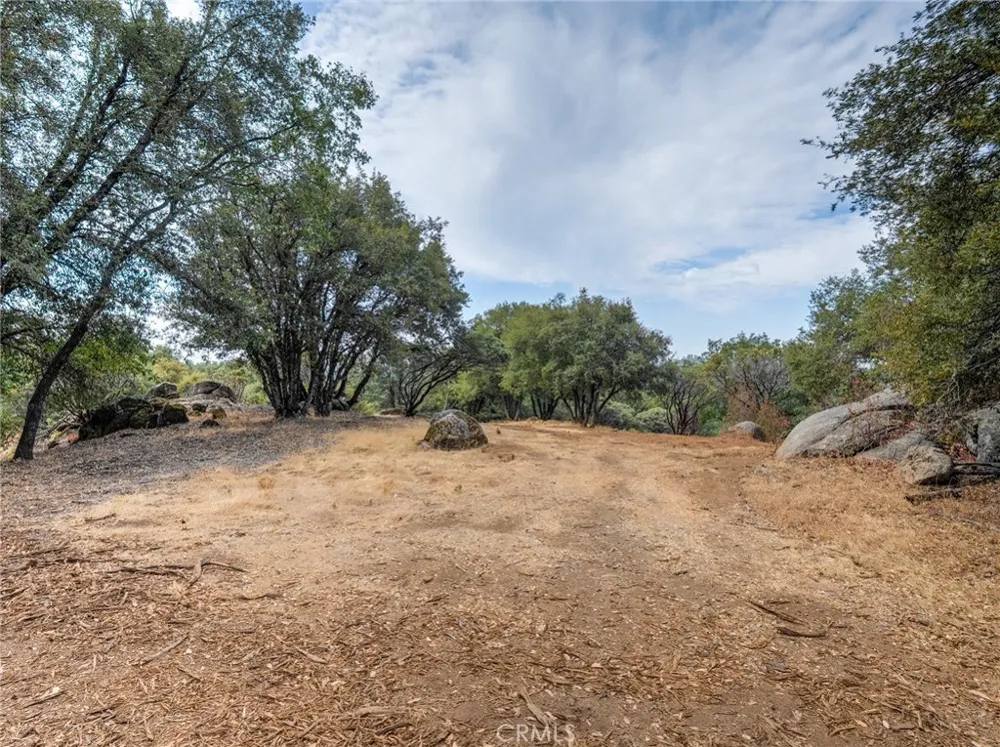 5 Vista Lago Mariposa, CA 95338