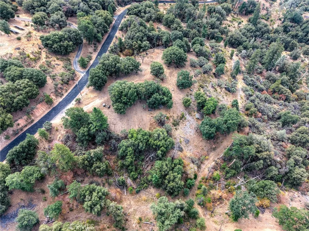 5 Vista Lago Mariposa, CA 95338