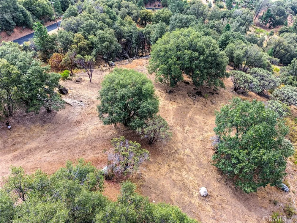 5 Vista Lago Mariposa, CA 95338