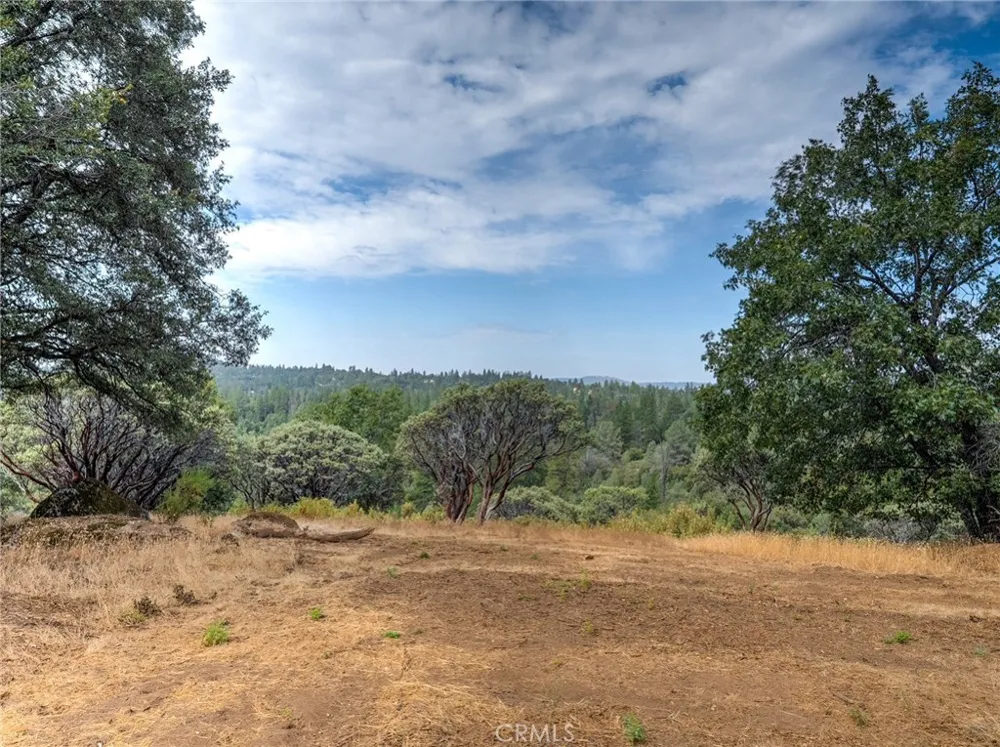 5 Vista Lago Mariposa, CA 95338