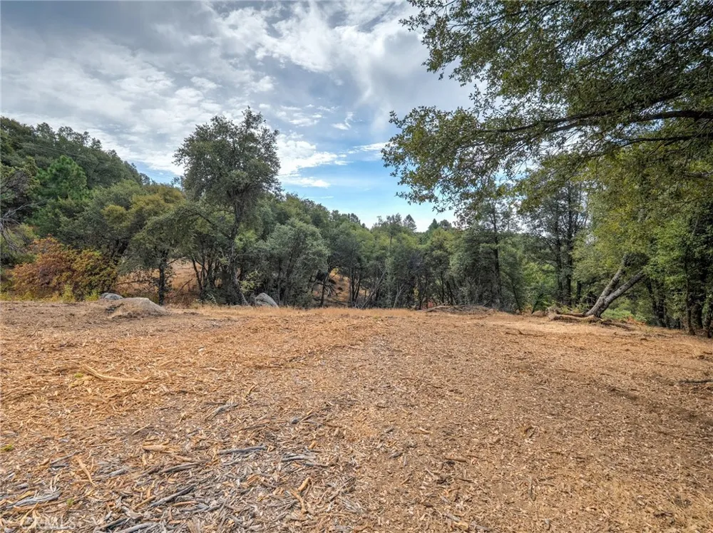 5 Vista Lago Mariposa, CA 95338
