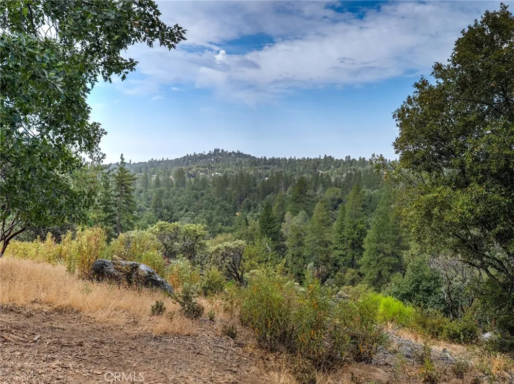 5 Vista Lago Mariposa, CA 95338