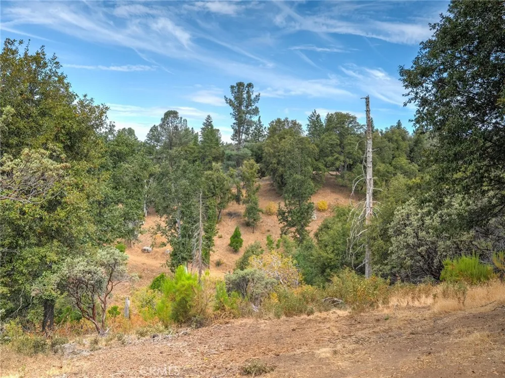 5 Vista Lago Mariposa, CA 95338