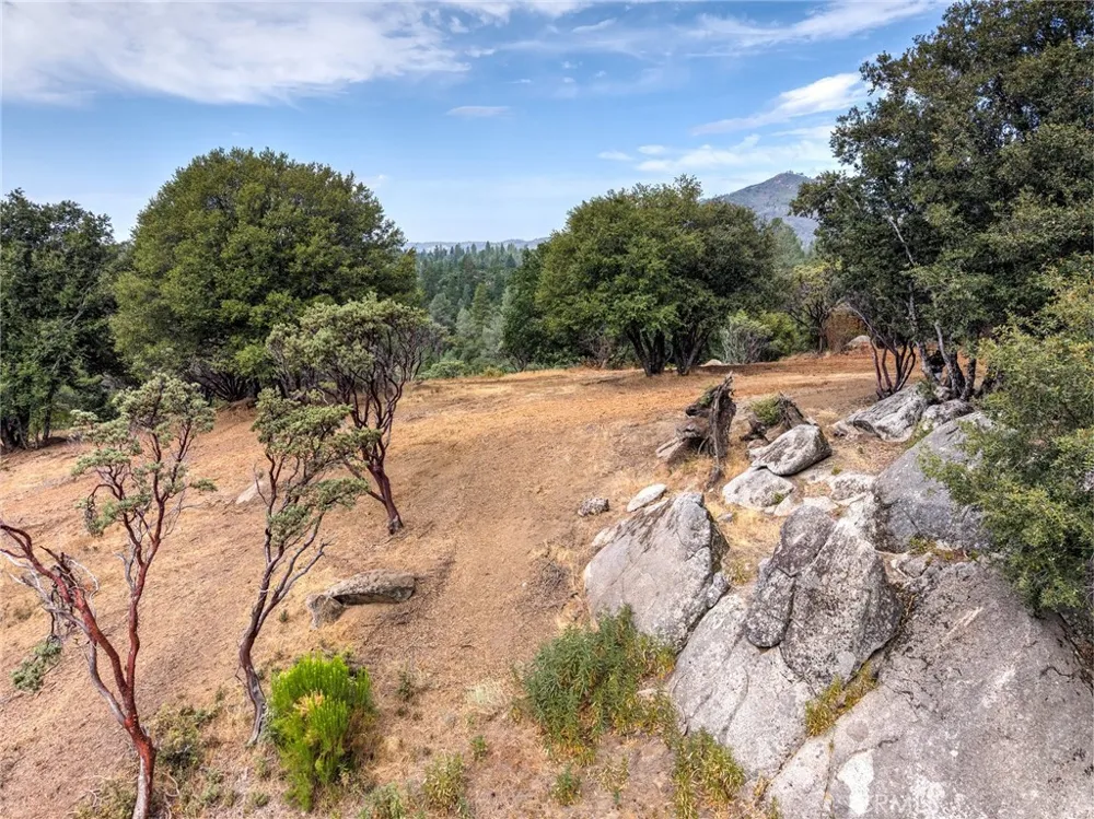 5 Vista Lago Mariposa, CA 95338