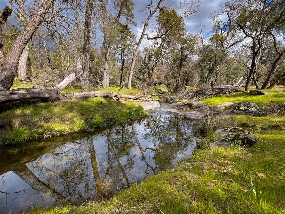 4683 Morningstar Mariposa, CA 95338