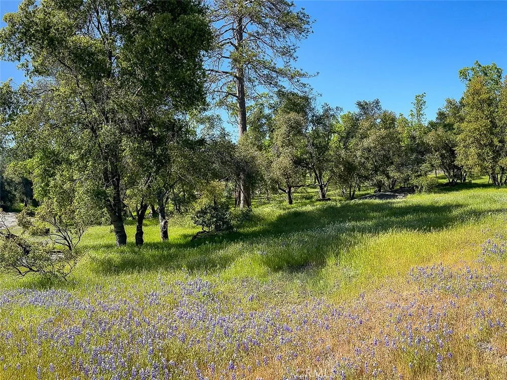 4683 Morningstar Mariposa, CA 95338