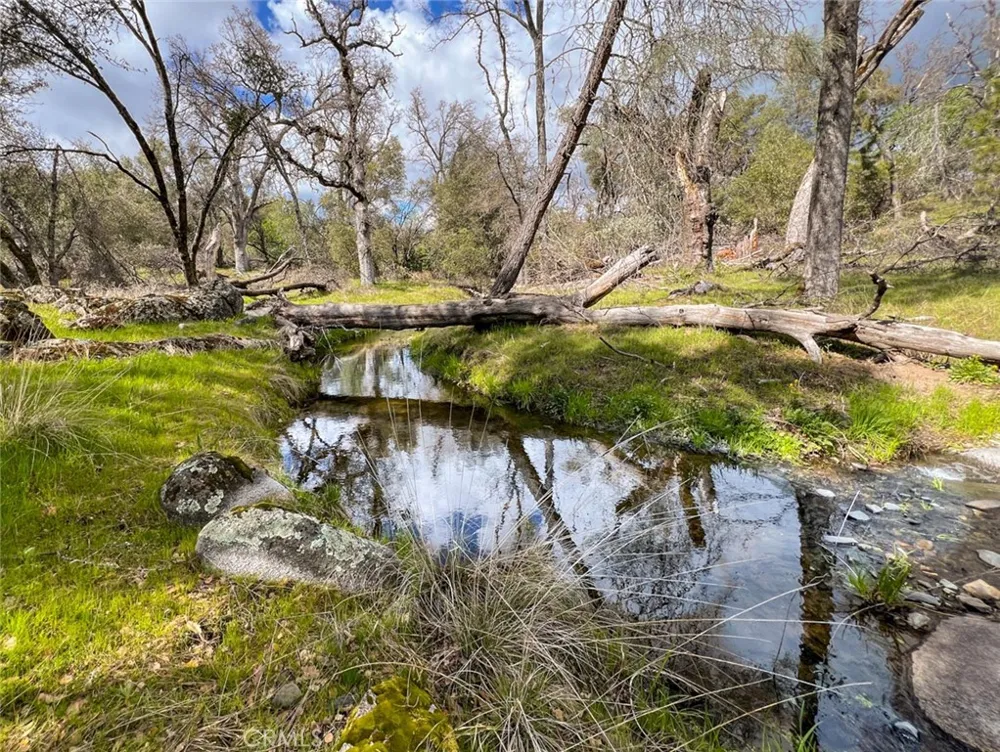 4683 Morningstar Mariposa, CA 95338