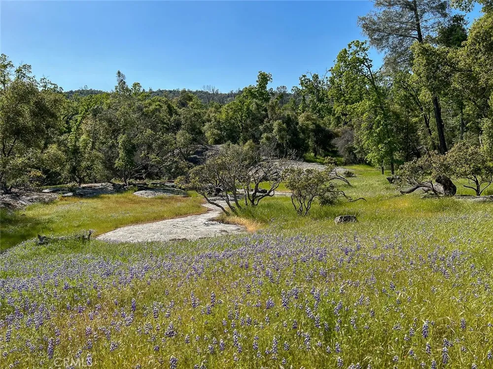4683 Morningstar Mariposa, CA 95338