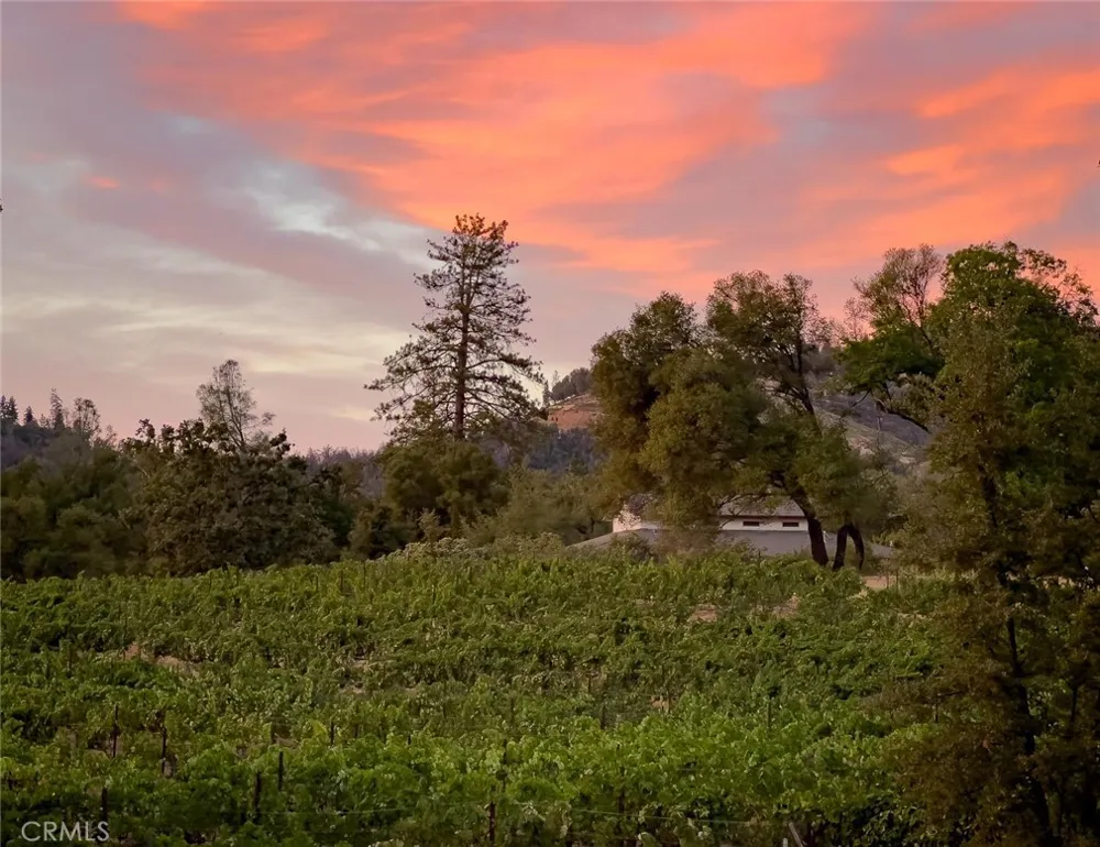 4683 Morningstar Mariposa, CA 95338