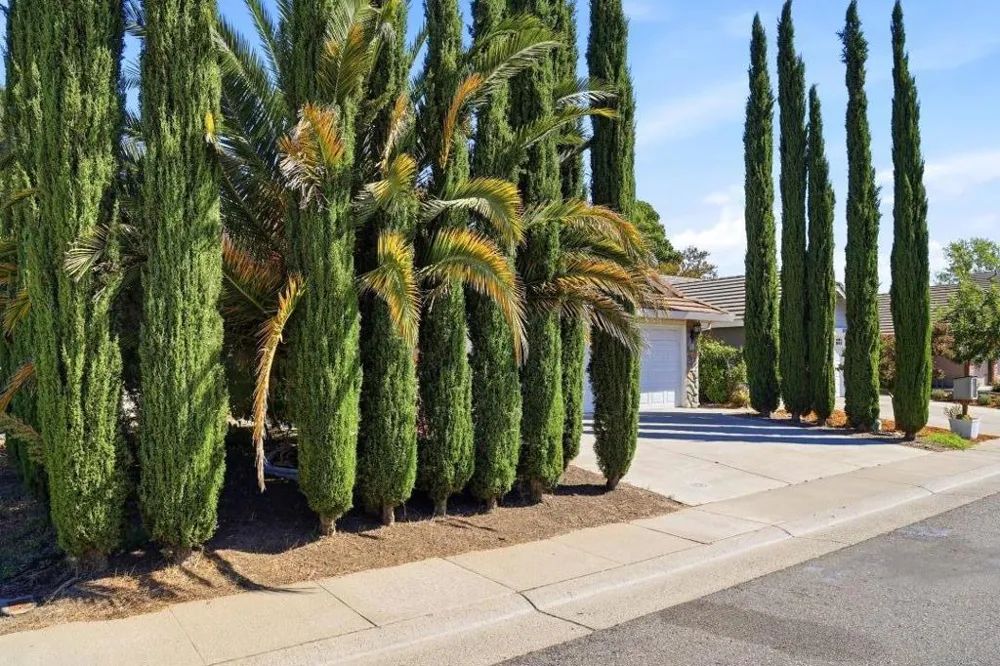 8947 Giant Panda Drive Sacramento, CA 95829