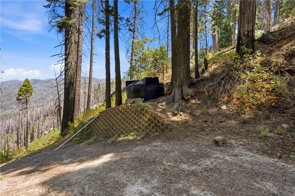 48663 Benson Trail Posey, CA 93260