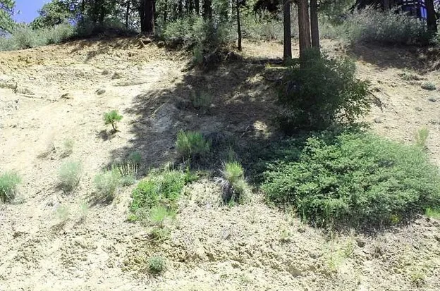 801 Menlo Big Bear Lake, CA 92315