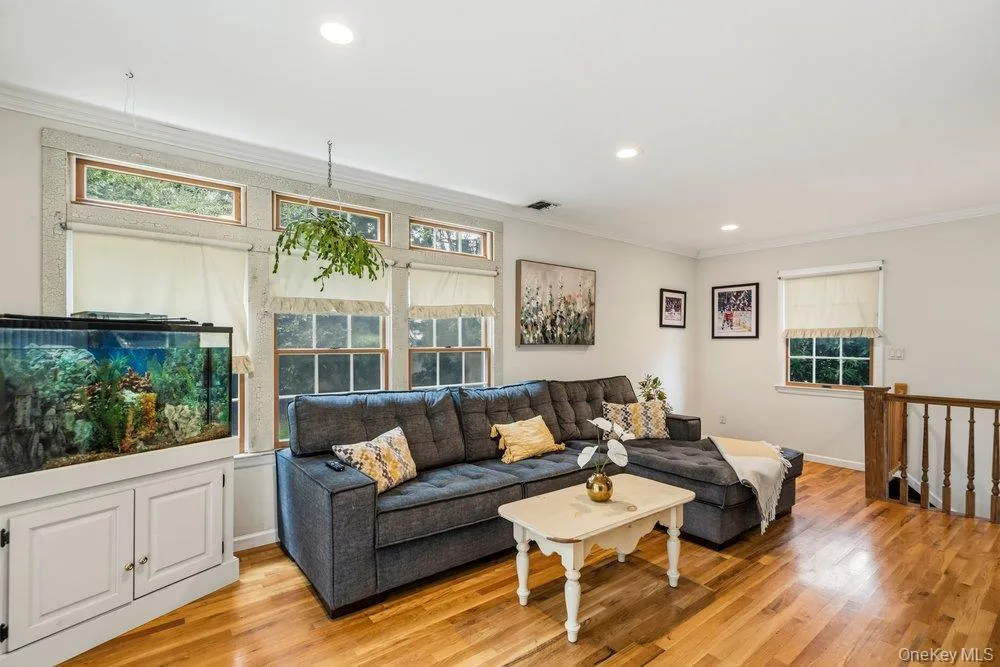27 Delaware Avenue Jericho, NY 11753