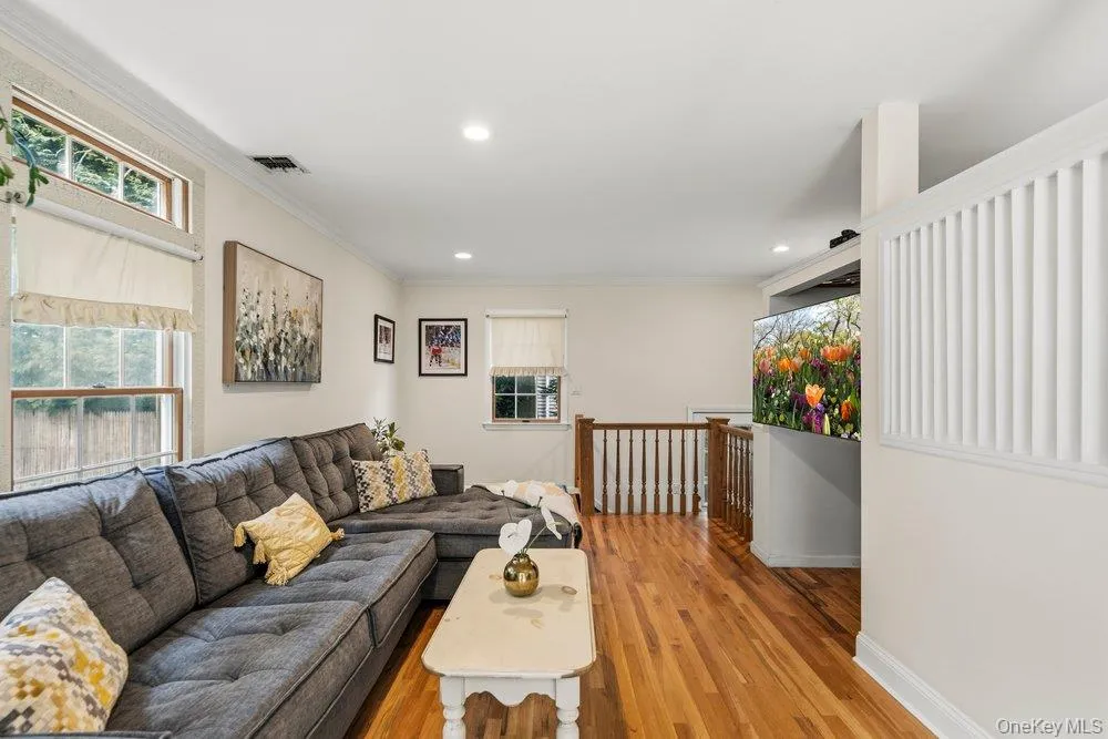 27 Delaware Avenue Jericho, NY 11753