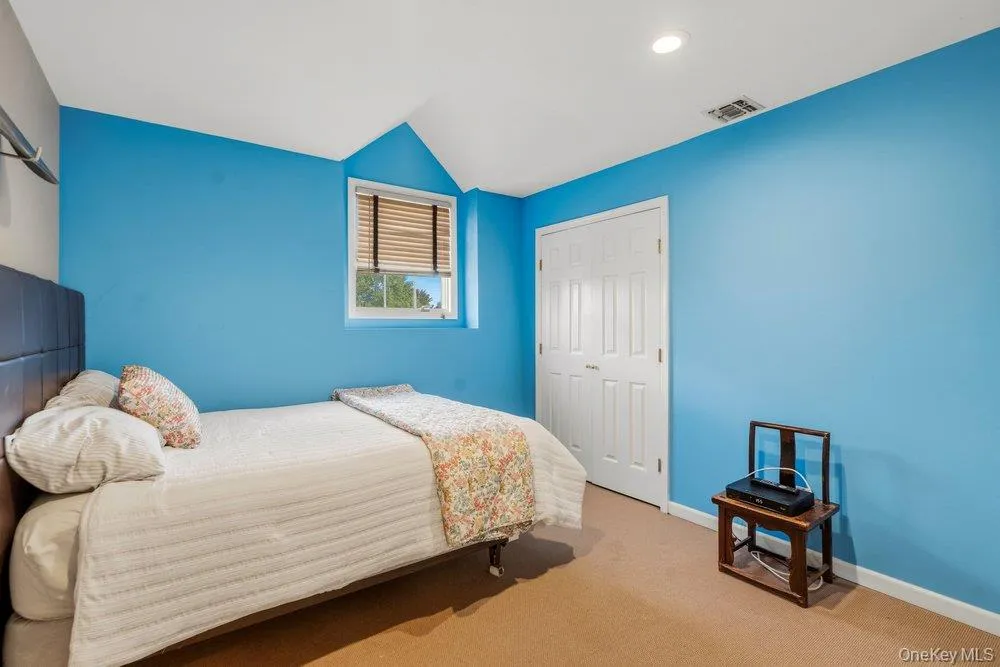 27 Delaware Avenue Jericho, NY 11753