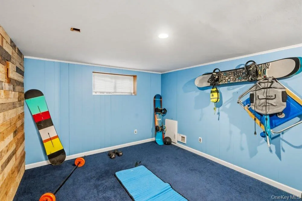 27 Delaware Avenue Jericho, NY 11753