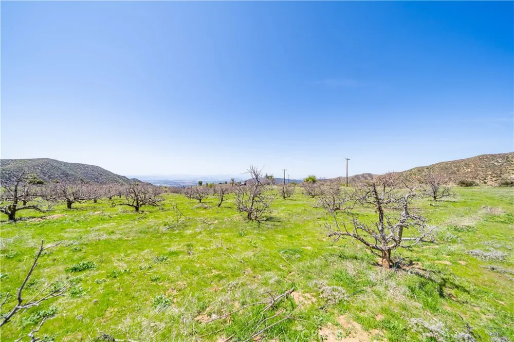 13557 Mile High Ranch Oak Glen, CA 92399