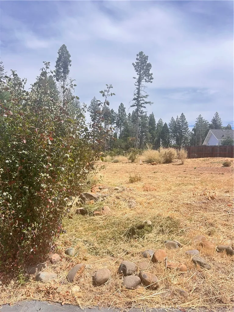 13837 Ferguson Magalia, CA 95954