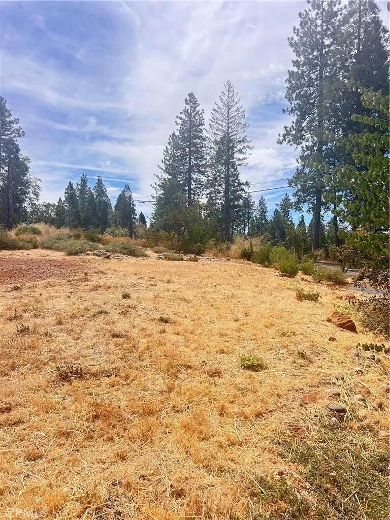 13837 Ferguson Magalia, CA 95954