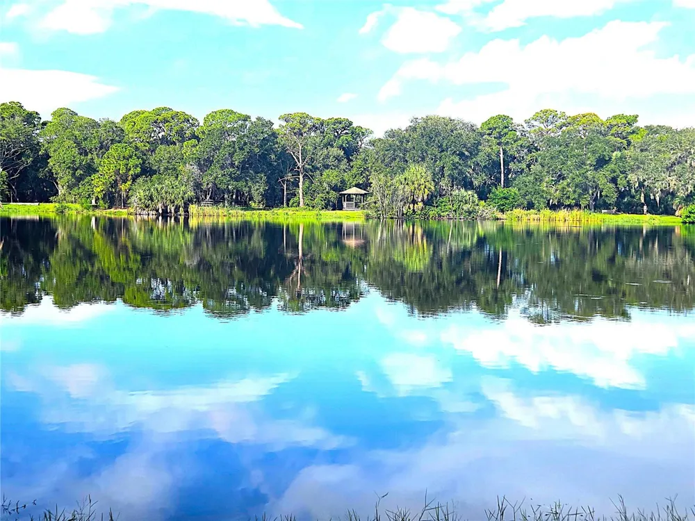 9939 KEY HAVEN ROAD Seminole, FL 33777