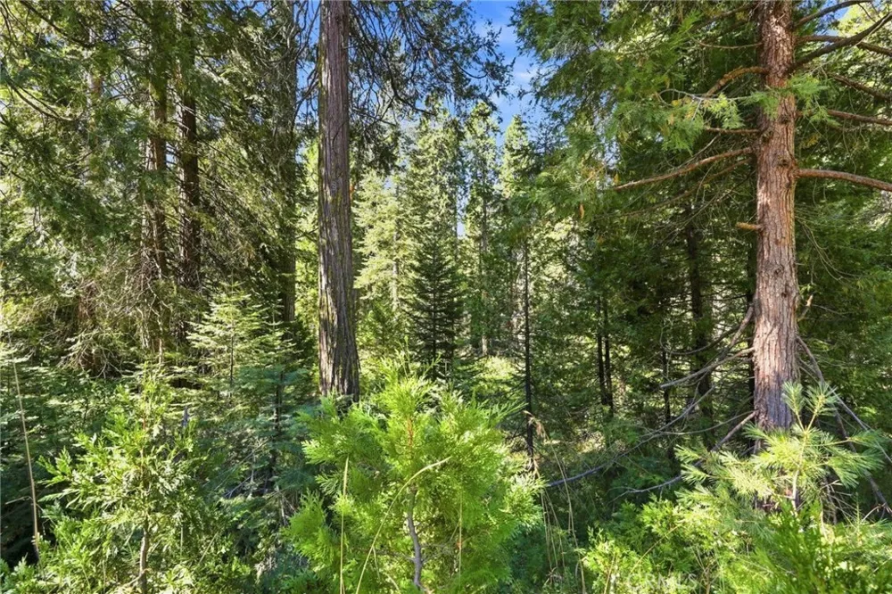 Foxglove Lane Shaver Lake, CA 93664