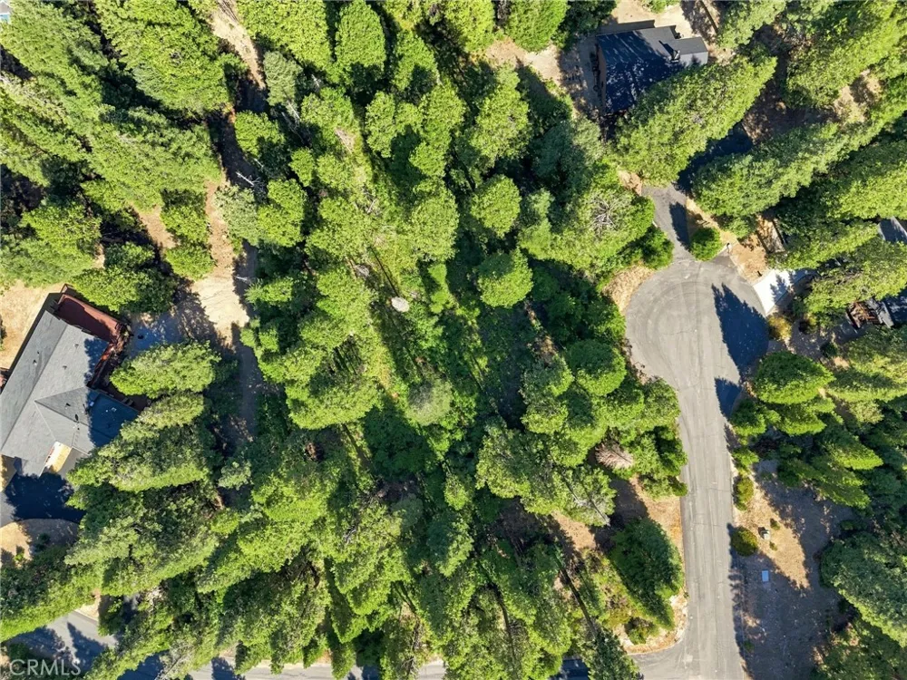 39730 Fox Glove Lane Shaver Lake, CA 93664
