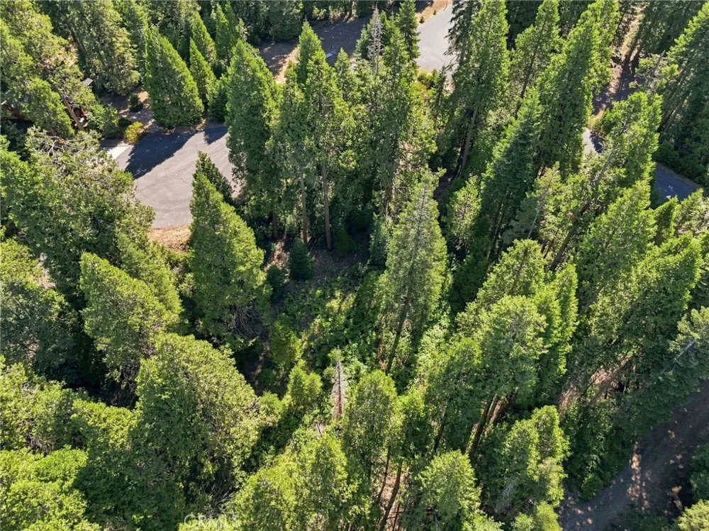 39730 Fox Glove Lane Shaver Lake, CA 93664