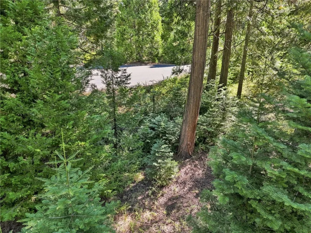 39730 Fox Glove Lane Shaver Lake, CA 93664