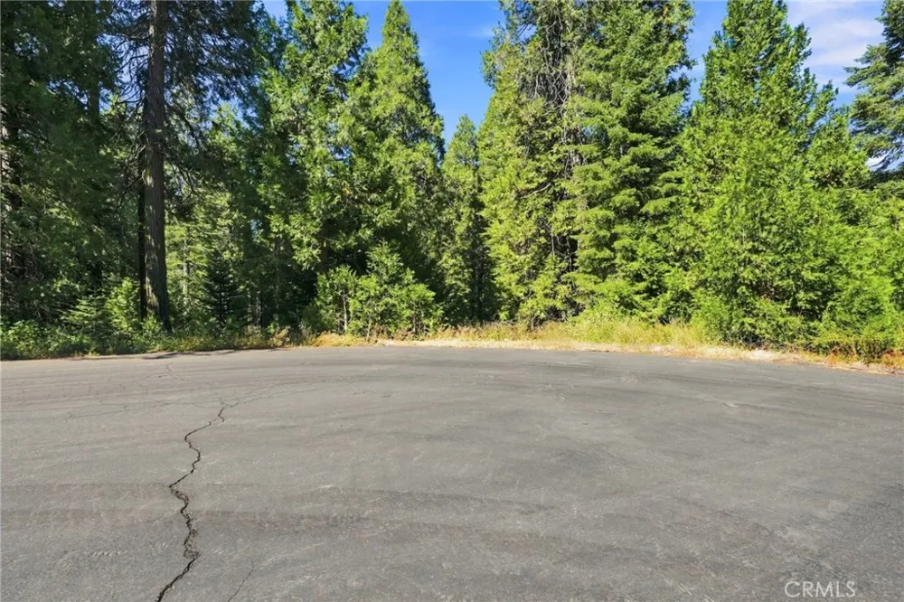 39730 Fox Glove Lane Shaver Lake, CA 93664