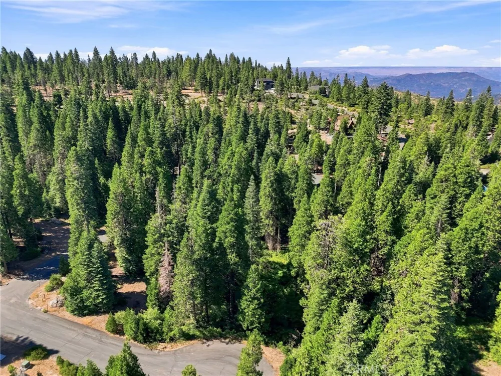 39730 Fox Glove Lane Shaver Lake, CA 93664