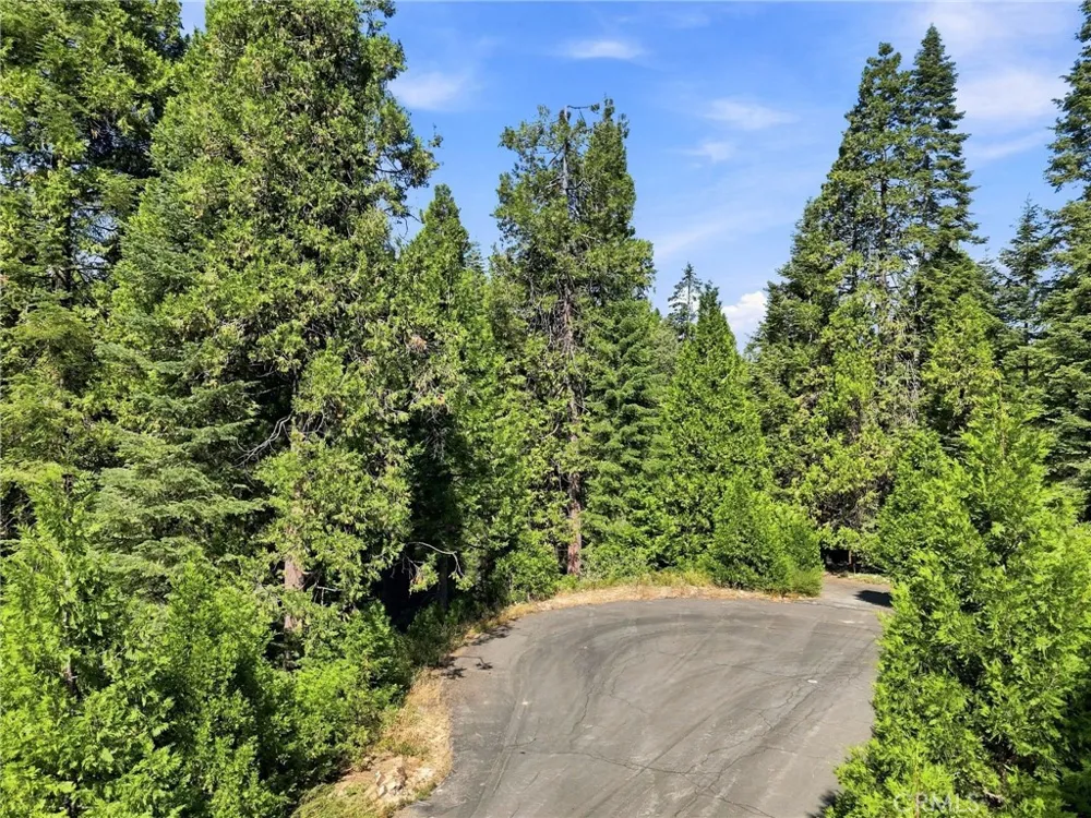 39730 Fox Glove Lane Shaver Lake, CA 93664
